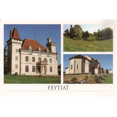 N8722025  - CP Feytiat 10x15
