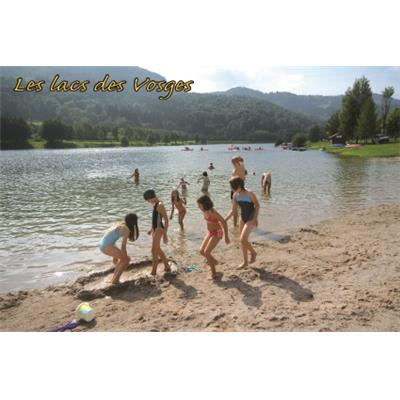 N8825054  - CP Lac Des Vosges 10x15