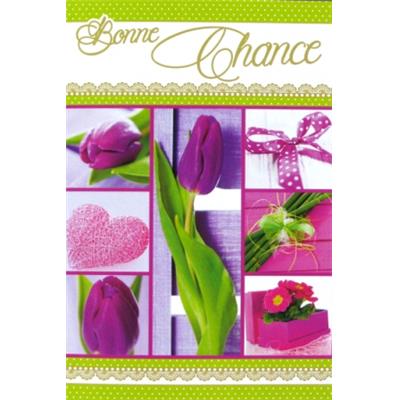 72476- Carte double Bonne Chance/Départ