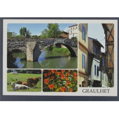 813003- Carte Postale GRAULHET 10X15
