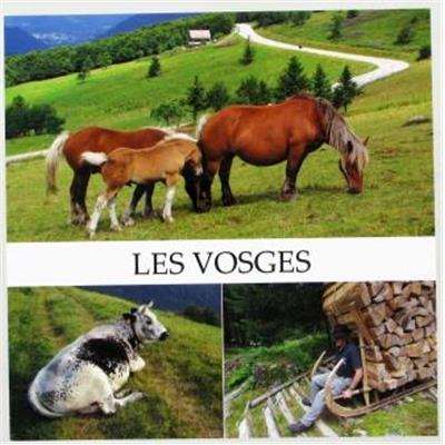 CP Les Vosges 15x15