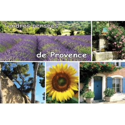 N8400060- CP La Provence 10X15