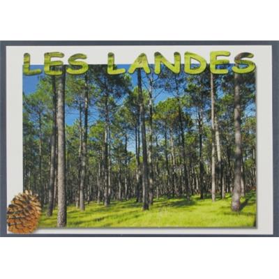 LAN03- Carte Postale LES LANDES 10X15